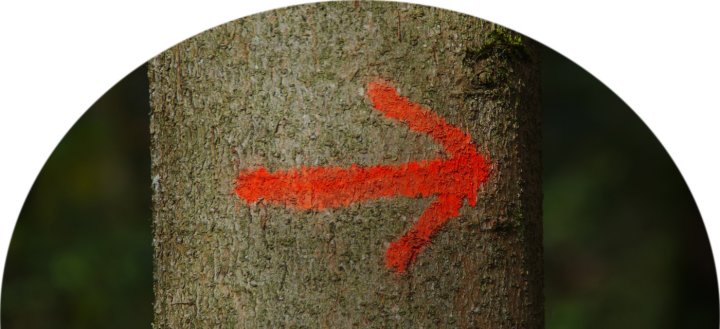 Medientitel/Linktitel