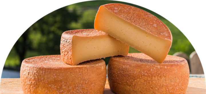 Medientitel/Linktitel